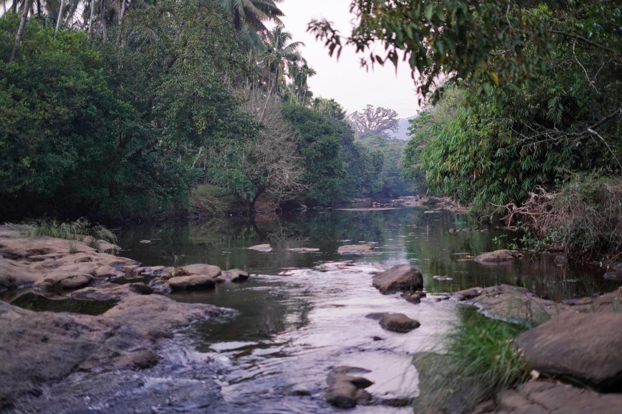 Athirapilly On The Rocks Hotel Athirappilly Eksteriør billede