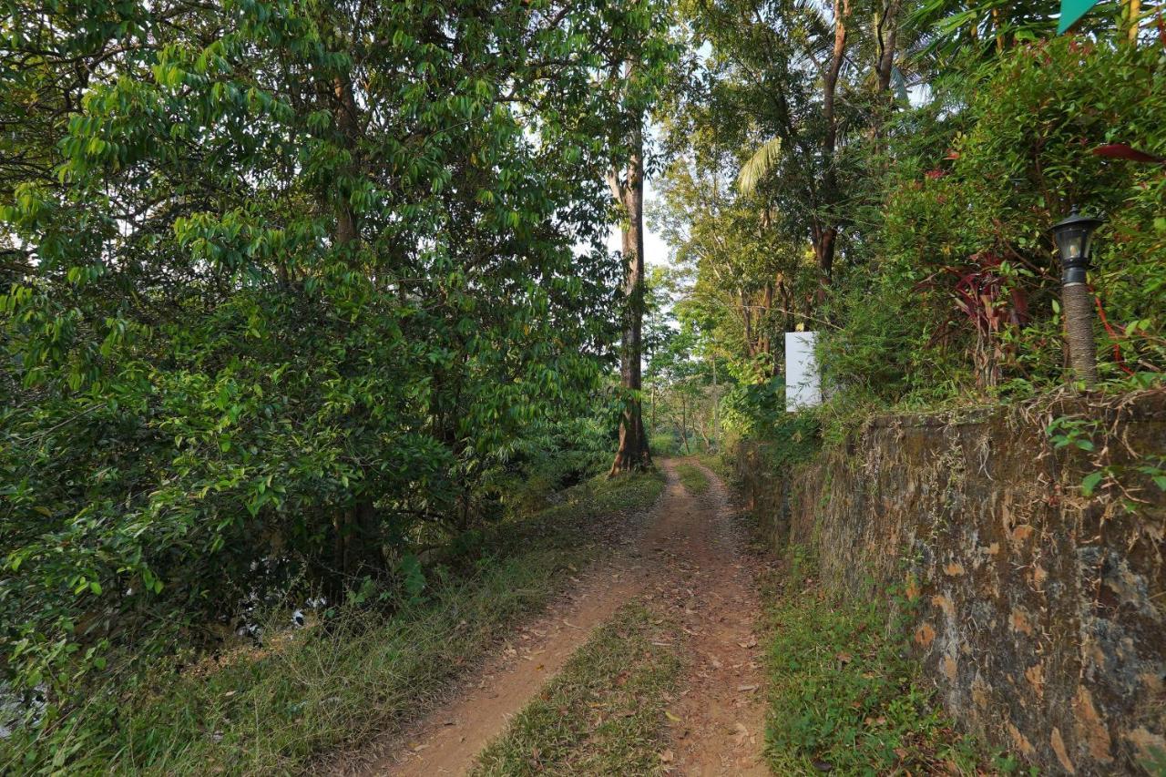 Athirapilly On The Rocks Hotel Athirappilly Eksteriør billede