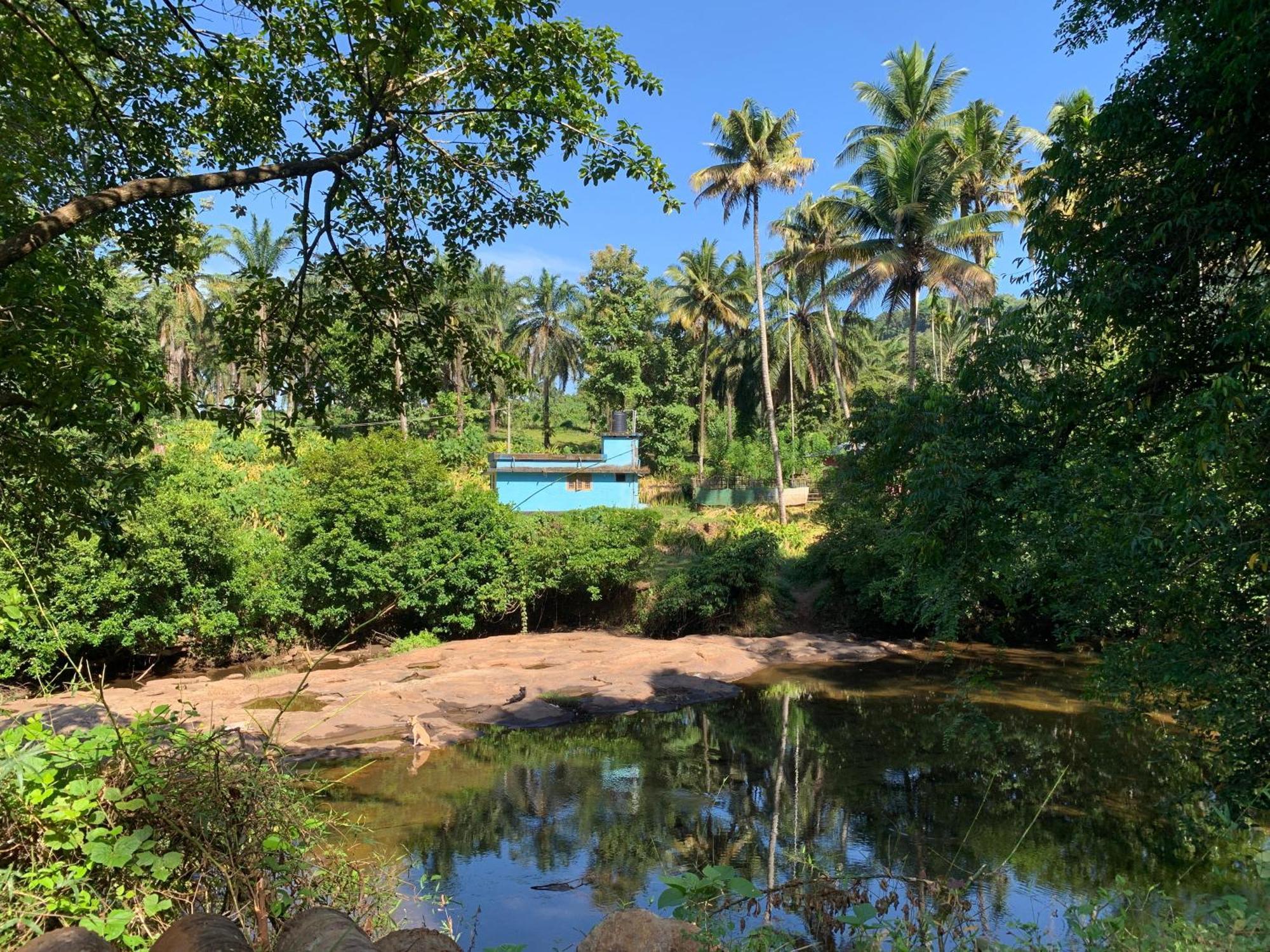 Athirapilly On The Rocks Hotel Athirappilly Eksteriør billede